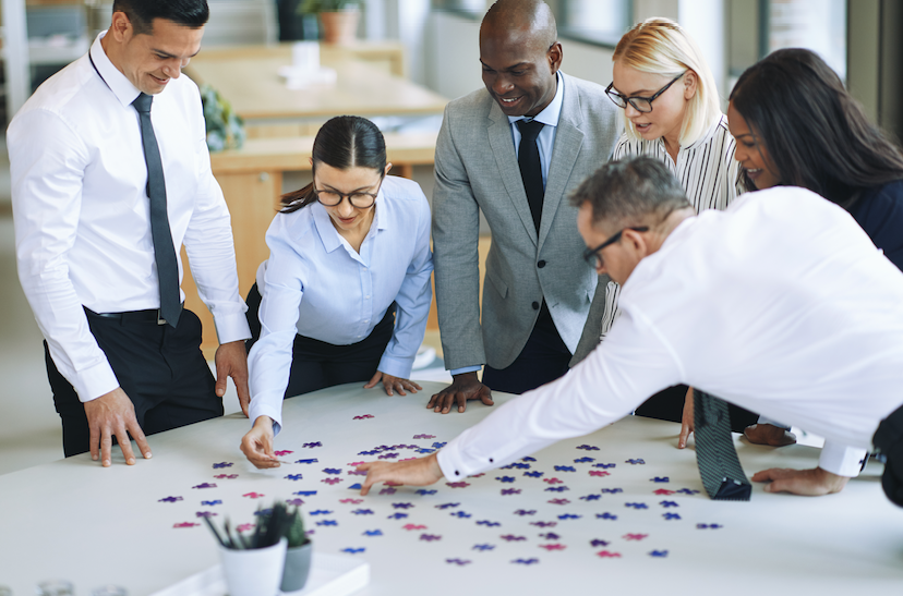 Pieces of the Puzzle: Understanding How to Lead Individuals for Team Success