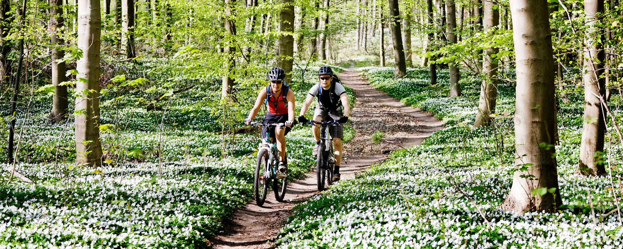 Couple Mountain Biking Together